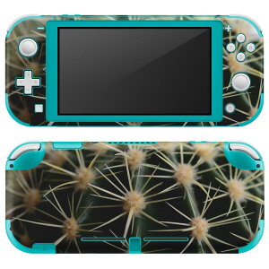 igsticker Nintendo Switch Lite p fUCXLV[ S jeh[ XCb` Cg p Q[@ Jo[ ANZT[ tB XebJ[ GAt[ 023055 T{e@ʐ^