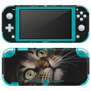 igsticker Nintendo Switch Lite p fUCXLV[ S jeh[ XCb` Cg p Q[@ Jo[ ANZT[ tB XebJ[ GAt[ 023089 L@˂@@ʐ^