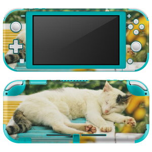 igsticker Nintendo Switch Lite p fUCXLV[ S jeh[ XCb` Cg p Q[@ Jo[ ANZT[ tB XebJ[ GAt[ 023095 L@˂@@ʐ^