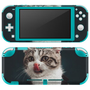 igsticker Nintendo Switch Lite p fUCXLV[ S jeh[ XCb` Cg p Q[@ Jo[ ANZT[ tB XebJ[ GAt[ 023096 L@˂@@ʐ^