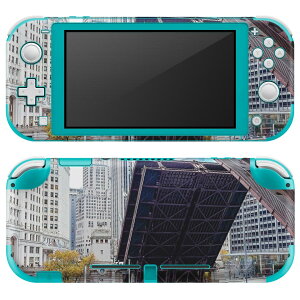 igsticker Nintendo Switch Lite p fUCXLV[ S jeh[ XCb` Cg p Q[@ Jo[ ANZT[ tB XebJ[ GAt[ 023106 i@r@ʐ^