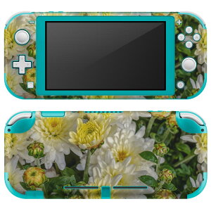 igsticker Nintendo Switch Lite p fUCXLV[ S jeh[ XCb` Cg p Q[@ Jo[ ANZT[ tB XebJ[ GAt[ 023116 ԁ@ʐ^