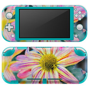 igsticker Nintendo Switch Lite ��p �f�U�C���X�L���V�[�� �S�� �j���e���h�[ �X�C�b�` ���C�g ��p �Q�[���@ �J�o�[ �A�N�Z�T���[ �t�B���� �X�e�b�J�[ �G�A�t���[ 023117 �ԁ@�J���t��