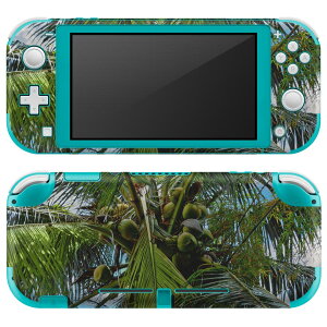 igsticker Nintendo Switch Lite p fUCXLV[ S jeh[ XCb` Cg p Q[@ Jo[ ANZT[ tB XebJ[ GAt[ 023141 V̖؁@ā@R