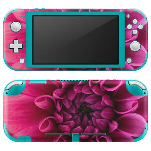 igsticker Nintendo Switch Lite p fUCXLV[ S jeh[ XCb` Cg p Q[@ Jo[ ANZT[ tB XebJ[ GAt[ 023184 ԁ@t[