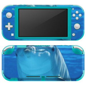 igsticker Nintendo Switch Lite p fUCXLV[ S jeh[ XCb` Cg p Q[@ Jo[ ANZT[ tB XebJ[ GAt[ 023228 CJ@@ʐ^