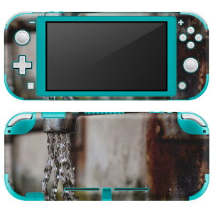 igsticker Nintendo Switch Lite p fUCXLV[ S jeh[ XCb` Cg p Q[@ Jo[ ANZT[ tB XebJ[ GAt[ 023267 @ʐ^@i