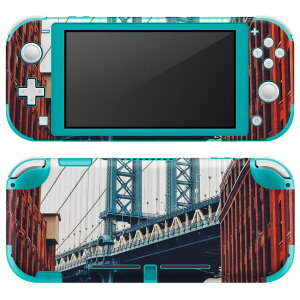 igsticker Nintendo Switch Lite p fUCXLV[ S jeh[ XCb` Cg p Q[@ Jo[ ANZT[ tB XebJ[ GAt[ 023385 i@ʐ^