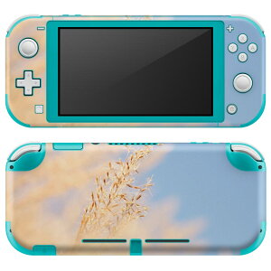 igsticker Nintendo Switch Lite p fUCXLV[ S jeh[ XCb` Cg p Q[@ Jo[ ANZT[ tB XebJ[ GAt[ 023405 ʐ^@iF@ppXO