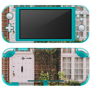 igsticker Nintendo Switch Lite p fUCXLV[ S jeh[ XCb` Cg p Q[@ Jo[ ANZT[ tB XebJ[ GAt[ 023443 @ʐ^