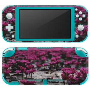 igsticker Nintendo Switch Lite p fUCXLV[ S jeh[ XCb` Cg p Q[@ Jo[ ANZT[ tB XebJ[ GAt[ 023484 ԁ@t[@ʐ^