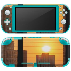 igsticker Nintendo Switch Lite p fUCXLV[ S jeh[ XCb` Cg p Q[@ Jo[ ANZT[ tB XebJ[ GAt[ 023579 [@ʐ^@i