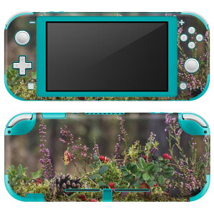 igsticker Nintendo Switch Lite p fUCXLV[ S jeh[ XCb` Cg p Q[@ Jo[ ANZT[ tB XebJ[ GAt[ 023583 H@A@