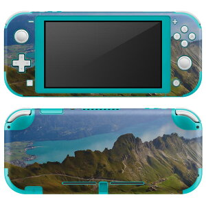 igsticker Nintendo Switch Lite p fUCXLV[ S jeh[ XCb` Cg p Q[@ Jo[ ANZT[ tB XebJ[ GAt[ 023595 iF@ʐ^@R