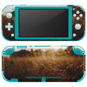 igsticker Nintendo Switch Lite p fUCXLV[ S jeh[ XCb` Cg p Q[@ Jo[ ANZT[ tB XebJ[ GAt[ 023605 iF@ʐ^@H