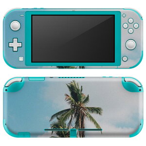 igsticker Nintendo Switch Lite p fUCXLV[ S jeh[ XCb` Cg p Q[@ Jo[ ANZT[ tB XebJ[ GAt[ 023646 V̖؁@ā@