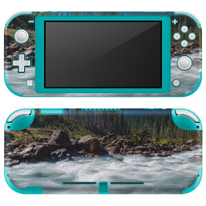 igsticker Nintendo Switch Lite p fUCXLV[ S jeh[ XCb` Cg p Q[@ Jo[ ANZT[ tB XebJ[ GAt[ 023722 @R@ʐ^