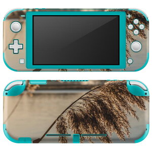 igsticker Nintendo Switch Lite p fUCXLV[ S jeh[ XCb` Cg p Q[@ Jo[ ANZT[ tB XebJ[ GAt[ 023723 ppXOX@A@