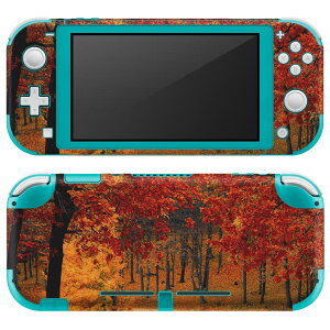igsticker Nintendo Switch Lite ��p �f�U�C���X�L���V�[�� �S�� �j���e���h�[ �X�C�b�` ���C�g ��p �Q�[���@ �J�o�[ �A�N�Z�T���[ �t�B���� �X�e�b�J�[ �G�A�t���[ 023727 �g�t�@�H