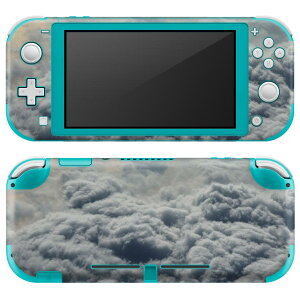 igsticker Nintendo Switch Lite p fUCXLV[ S jeh[ XCb` Cg p Q[@ Jo[ ANZT[ tB XebJ[ GAt[ 023804 @_@ʐ^
