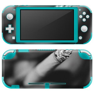 igsticker Nintendo Switch Lite p fUCXLV[ S jeh[ XCb` Cg p Q[@ Jo[ ANZT[ tB XebJ[ GAt[ 023807 ΂@ʐ^