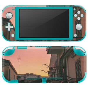 igsticker Nintendo Switch Lite p fUCXLV[ S jeh[ XCb` Cg p Q[@ Jo[ ANZT[ tB XebJ[ GAt[ 023841 [@ʐ^@X