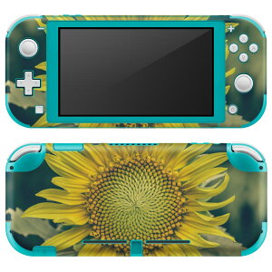 igsticker Nintendo Switch Lite ��p �f�U�C���X�L���V�[�� �S�� �j���e���h�[ �X�C�b�` ���C�g ��p �Q�[���@ �J�o�[ �A�N�Z�T���[ �t�B���� �X�e�b�J�[ �G�A�t���[ 023850 �ԁ@�t�����[�@�Ђ܂��