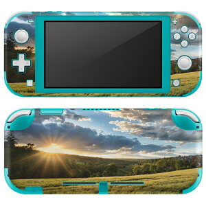 igsticker Nintendo Switch Lite p fUCXLV[ S jeh[ XCb` Cg p Q[@ Jo[ ANZT[ tB XebJ[ GAt[ 023861 iF@R@ʐ^