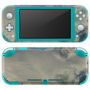 igsticker Nintendo Switch Lite p fUCXLV[ S jeh[ XCb` Cg p Q[@ Jo[ ANZT[ tB XebJ[ GAt[ 023894 R@ʐ^@iF