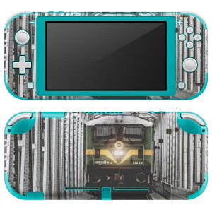 igsticker Nintendo Switch Lite p fUCXLV[ S jeh[ XCb` Cg p Q[@ Jo[ ANZT[ tB XebJ[ GAt[ 023900 S@d