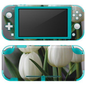 igsticker Nintendo Switch Lite p fUCXLV[ S jeh[ XCb` Cg p Q[@ Jo[ ANZT[ tB XebJ[ GAt[ 023916 ԁ@t[@`[b