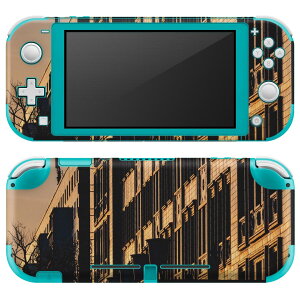 igsticker Nintendo Switch Lite p fUCXLV[ S jeh[ XCb` Cg p Q[@ Jo[ ANZT[ tB XebJ[ GAt[ 023920 [@
