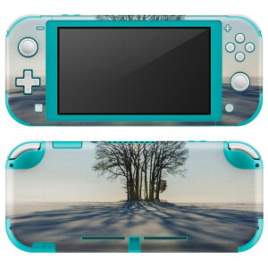 igsticker Nintendo Switch Lite p fUCXLV[ S jeh[ XCb` Cg p Q[@ Jo[ ANZT[ tB XebJ[ GAt[ 023978 ~@@iF