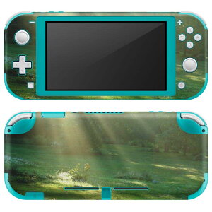 igsticker Nintendo Switch Lite p fUCXLV[ S jeh[ XCb` Cg p Q[@ Jo[ ANZT[ tB XebJ[ GAt[ 004644 X@ʐ^@iF