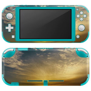 igsticker Nintendo Switch Lite p fUCXLV[ S jeh[ XCb` Cg p Q[@ Jo[ ANZT[ tB XebJ[ GAt[ 004909 ʐ^@iF@_