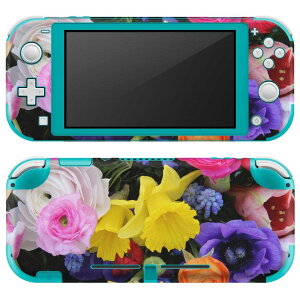 igsticker Nintendo Switch Lite p fUCXLV[ S jeh[ XCb` Cg p Q[@ Jo[ ANZT[ tB XebJ[ GAt[ 005494 ʐ^@