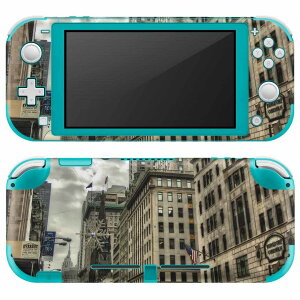 igsticker Nintendo Switch Lite p fUCXLV[ S jeh[ XCb` Cg p Q[@ Jo[ ANZT[ tB XebJ[ GAt[ 005933 ʐ^@@