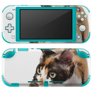 igsticker Nintendo Switch Lite p fUCXLV[ S jeh[ XCb` Cg p Q[@ Jo[ ANZT[ tB XebJ[ GAt[ 005939 Aj} ʐ^@@L@