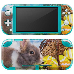 igsticker Nintendo Switch Lite p fUCXLV[ S jeh[ XCb` Cg p Q[@ Jo[ ANZT[ tB XebJ[ GAt[ 006581 ʐ^@@