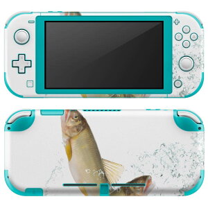 igsticker Nintendo Switch Lite ��p �f�U�C���X�L���V�[�� �S�� �j���e���h�[ �X�C�b�` ���C�g ��p �Q�[���@ �J�o�[ �A�N�Z�T���[ �t�B���� �X�e�b�J�[ �G�A�t���[ 007741 ���@�����ȁ@���@�݂�