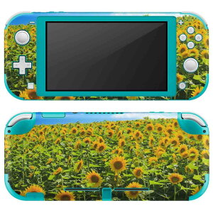igsticker Nintendo Switch Lite p fUCXLV[ S jeh[ XCb` Cg p Q[@ Jo[ ANZT[ tB XebJ[ GAt[ 007936 ʐ^@ԁ@@@Ђ
