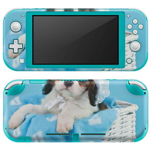 igsticker Nintendo Switch Lite p fUCXLV[ S jeh[ XCb` Cg p Q[@ Jo[ ANZT[ tB XebJ[ GAt[ 008499 ʐ^@F@@u[@