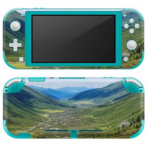 igsticker Nintendo Switch Lite p fUCXLV[ S jeh[ XCb` Cg p Q[@ Jo[ ANZT[ tB XebJ[ GAt[ 009763 i@iF@ʐ^