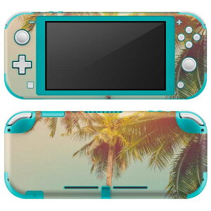igsticker Nintendo Switch Lite p fUCXLV[ S jeh[ XCb` Cg p Q[@ Jo[ ANZT[ tB XebJ[ GAt[ 010529 V̖؁@i