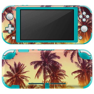 igsticker Nintendo Switch Lite p fUCXLV[ S jeh[ XCb` Cg p Q[@ Jo[ ANZT[ tB XebJ[ GAt[ 011302 ā@V̖؁@[