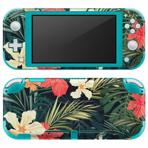 igsticker Nintendo Switch Lite ��p �f�U�C���X�L���V�[�� �S�� �j���e���h�[ �X�C�b�` ���C�g ��p �Q�[���@ �J�o�[ �A�N�Z�T���[ �t�B���� �X�e�b�J�[ �G�A�t���[ 012070 �n�C�r�X�J�X�@�ԁ@�A��