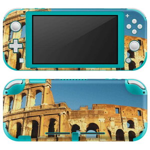 igsticker Nintendo Switch Lite p fUCXLV[ S jeh[ XCb` Cg p Q[@ Jo[ ANZT[ tB XebJ[ GAt[ 012829 ʐ^@@iF