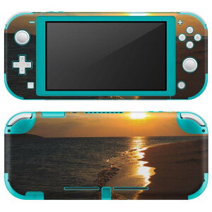 igsticker Nintendo Switch Lite p fUCXLV[ S jeh[ XCb` Cg p Q[@ Jo[ ANZT[ tB XebJ[ GAt[ 014467 C@[@ʐ^