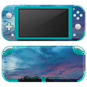 igsticker Nintendo Switch Lite ��p �f�U�C���X�L���V�[�� �S�� �j���e���h�[ �X�C�b�` ���C�g ��p �Q�[���@ �J�o�[ �A�N�Z�T���[ �t�B���� �X�e�b�J�[ �G�A�t���[ 014906 �i�F�@��i�@���R