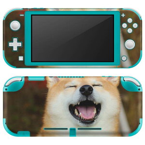 igsticker Nintendo Switch Lite p fUCXLV[ S jeh[ XCb` Cg p Q[@ Jo[ ANZT[ tB XebJ[ GAt[ 015611 @킢@Č